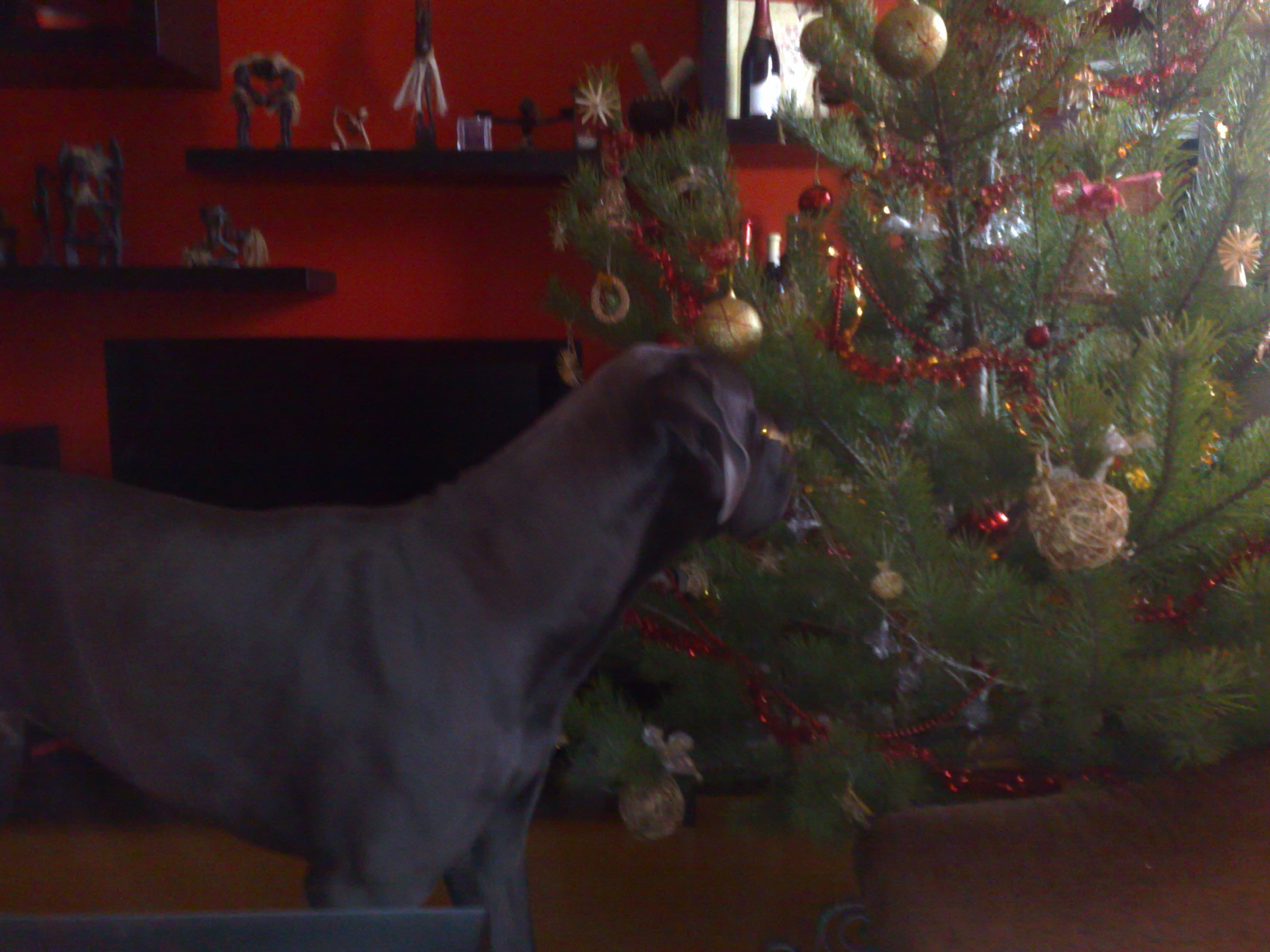24122008192.jpg